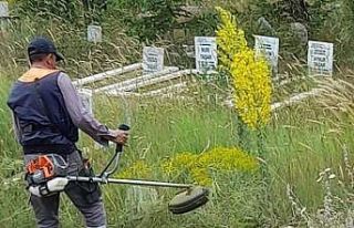 Dumlupınar’da mezarlık temizliği