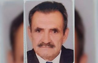 Dut dökmek isterken ağaçtan düşen kişi öldü