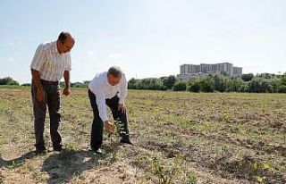 “Edirne Gülü Bahçesi” oluşturuldu