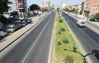 Efeler Belediyesi’nden refüj temizliği