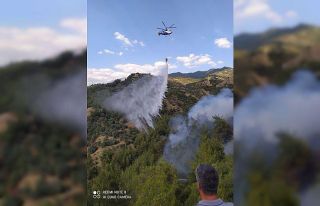 Efeler’de çıkan yangın, rüzgarın şiddeti ile...