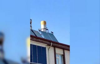 Elazığ’da ’Allah’ diye bağıran karga görenleri...