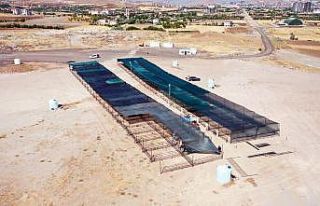 Elazığ’da kurban satış ve kesim alanı hazırlandı