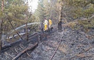Elazığ’daki orman yangını söndürüldü