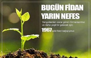 Elazığspor, 1967 fidan bağışlayacak