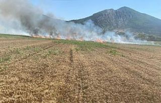 Elektrik direğinden çıkan kıvılcımlar 15 dönüm...