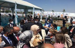 Emine Erdoğan ses telleri kesilen köpeği sanatçı...