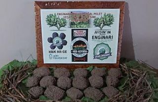 Enginar sadece sağlık değil aynı zamanda çevre...