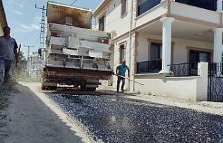 Erdek Paşalimanı Adası yolları yapılıyor