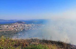 Erdek’te 5 hektar makilik alan yandı