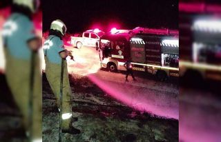 Erdek’te arazi yangını korkuttu