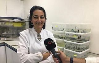 ERÜ’de yerli Covid aşısından sonra kanser ilacında...