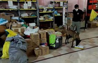Erzincan’da 1 kilo 145 gram toz esrar ile çeşitli...