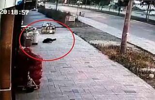 Eşinin öldürdüğü polisin balkondan düşme anının...