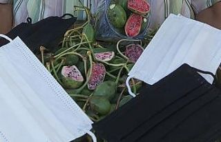 Eskiden çobanlar kullanıyordu, şimdi maske üretiminde...