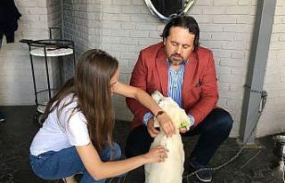 Eskişehir’de ilk defa bir köpeğe mikroçip takıldı