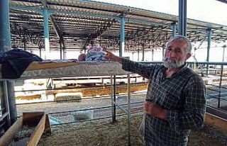 Eskişehir’deki kurban satıcıları: "Kurban...