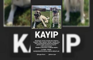 Eskişehirspor’un köpeği kayboldu