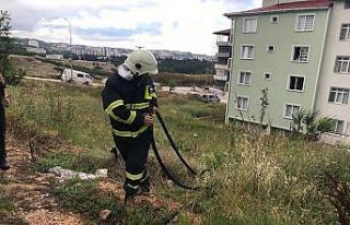 Ev yangını ihbarı aldılar, ufak çaplı ot yangını...