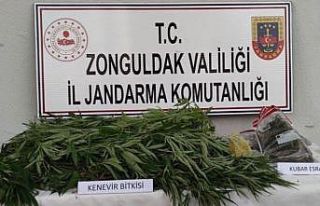 Evde ve bahçede uyuşturucu ele geçirildi
