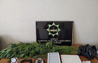 Evini kenevir serasına dönüştürmüş