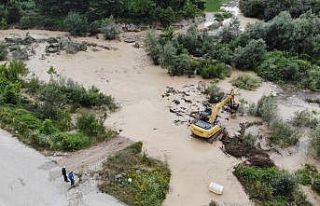 Evinin önüne düşen direği kaldırmak isterken...