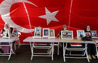 Evlat nöbetindeki annelerin çığlığı büyüyor