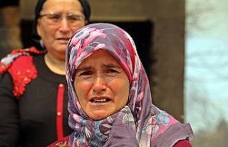 Evlerine gelip küle döndüğünü görünce gözyaşlarına...