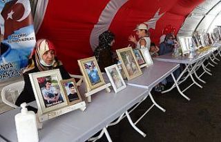 Eylemdeki ağabey Özcan: “Kürt davası yok Amerika’ya...