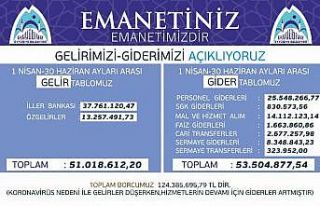 Eyyübiye’nin gelir gider tablosu belli oldu