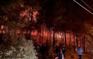 Fethiye’de orman yangını