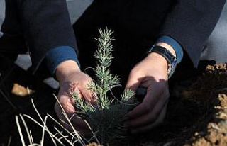 Fidan kampanyasına Bahçeşehir Kolejinden destek