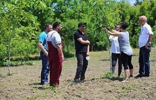Fidancılık kursiyerleri artık daha bilinçli
