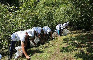 Fındık işçiliğine büyük talep