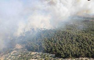 Foça’daki yangına müdahale devam ediyor