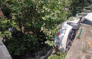 Fren yerine gaza basınca komşusunun bahçesine uçtu