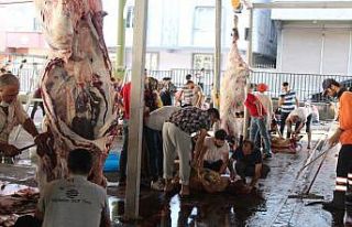 Gaziantep’te kurbanlar kesilmeye başlandı