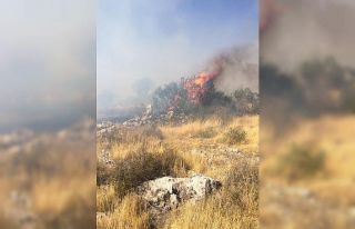 Gaziantep’te orman yangını
