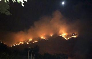 Gazipaşa’da 3 farklı noktada orman yangını