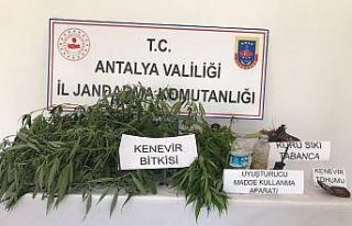 Gazipaşa’da seraya uyuşturucu operasyonu