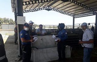 Gediz hayvan pazarında kurban bayramı öncesi sahte...