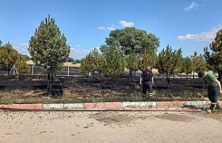 Gediz Organize Sanayi Bölgesinde 2 dekarlık otluk...