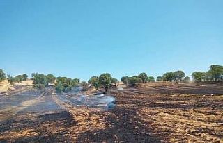 Gediz’de arazi yangını