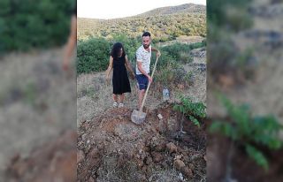 Geleneği tekrar hayata geçirdiler: Diktikleri ağaca...