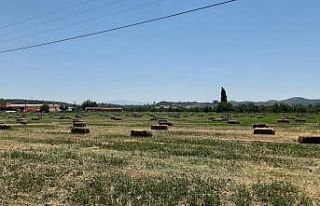 Germencik, kırsal kalkınma hamlesini sürdürüyor