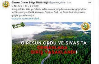 Giresun, Ordu ve Sivas illerinde ormana girmek yasaklandı