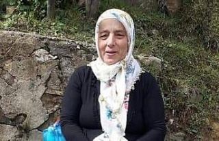 Giresun’da dengesini kaybederek düşen kadın hayatını...