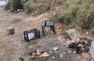 Göl çevresinden onlarca torba atık toplandı