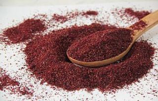 GTB, asırlık lezzet ‘Antep Sumağı’nı tescilledi