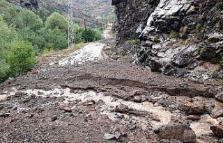 Gümüşhane’de 10 dakika süren dolu ve yağmur...